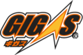 Антифриз GIGAS